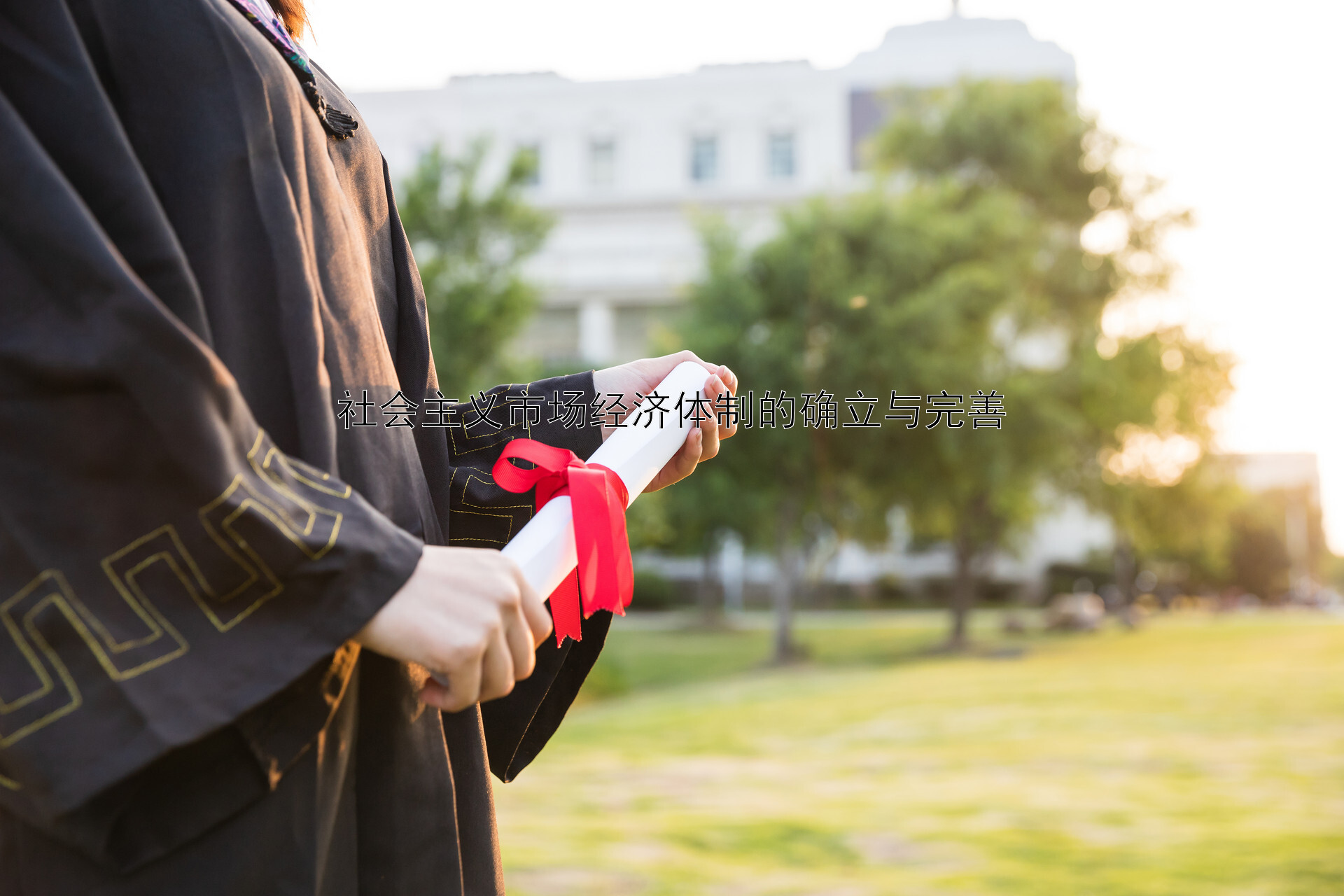 社会主义市场经济体制的确立与完善