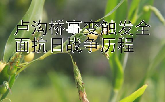 卢沟桥事变触发全面抗日战争历程