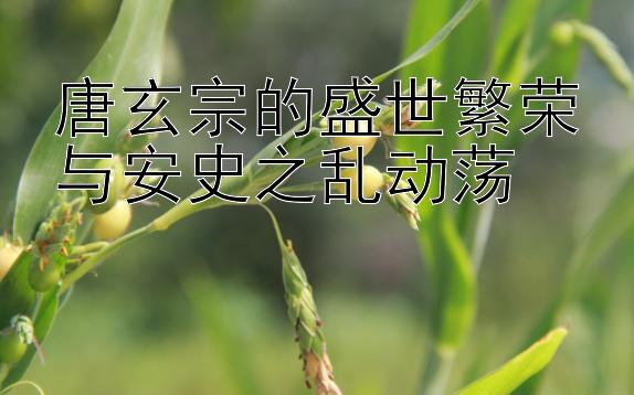 唐玄宗的盛世繁荣与安史之乱动荡